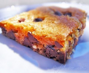 Chocolate Chip Cookies and Vanilla Brownies
