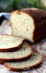Gluten-Free-Bread