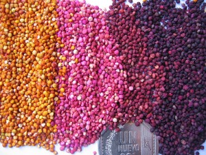 Gluten Free Grains -- quinoa